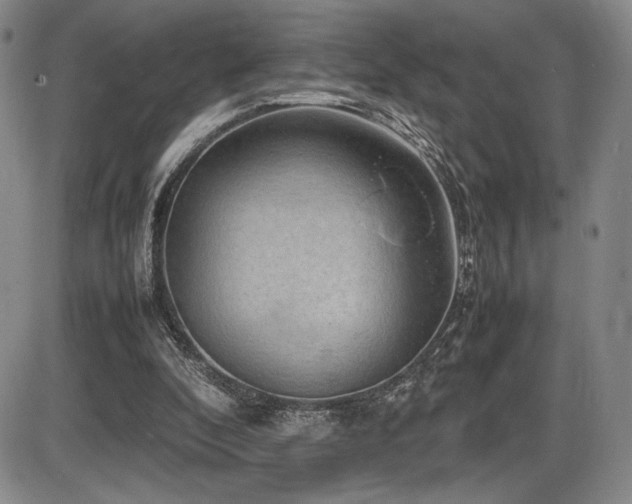X0000086280296200703291508