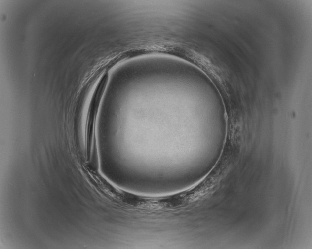 X0000086280299200703291508