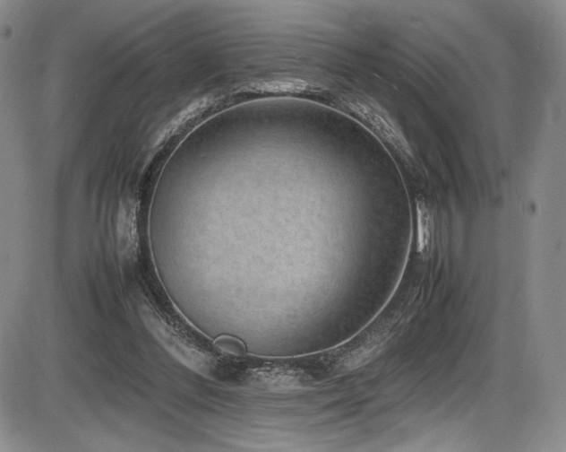 X0000086280300200703291508
