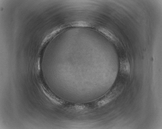 X0000086280302200703291508