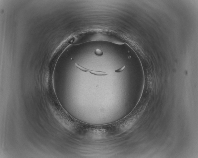 X0000086280304200703291508