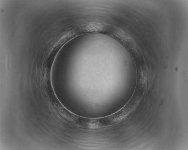 X0000086280308200703291508
