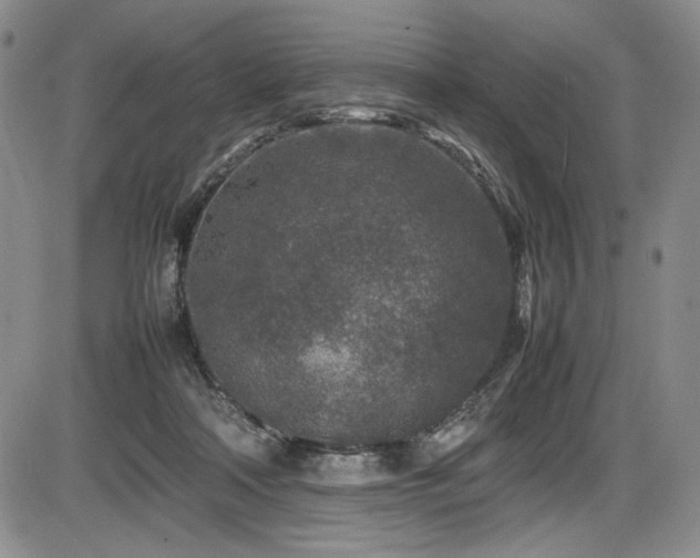 X0000086280314200703291508