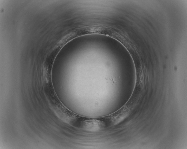 X0000086280316200703291508