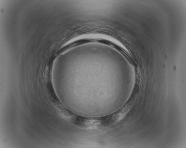 X0000086280319200703291508