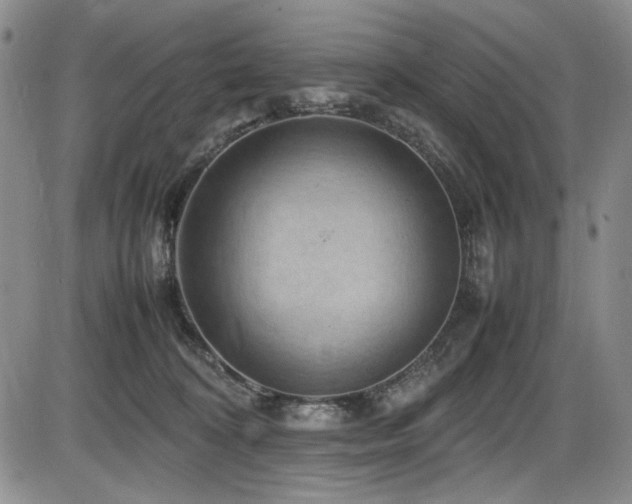 X0000086280324200703291508