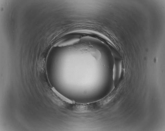 X0000086280325200703291508