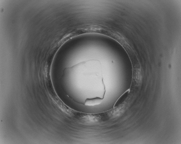X0000086280326200703291508