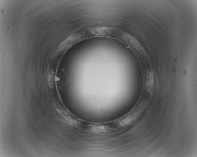 X0000086280332200703291507