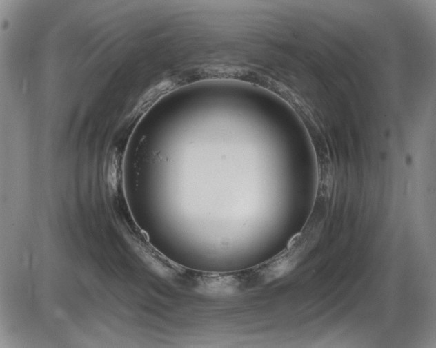 X0000086280334200703291507