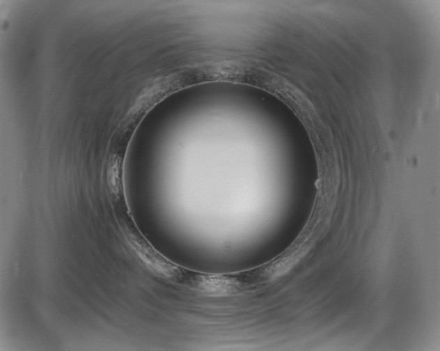 X0000086280336200703291507