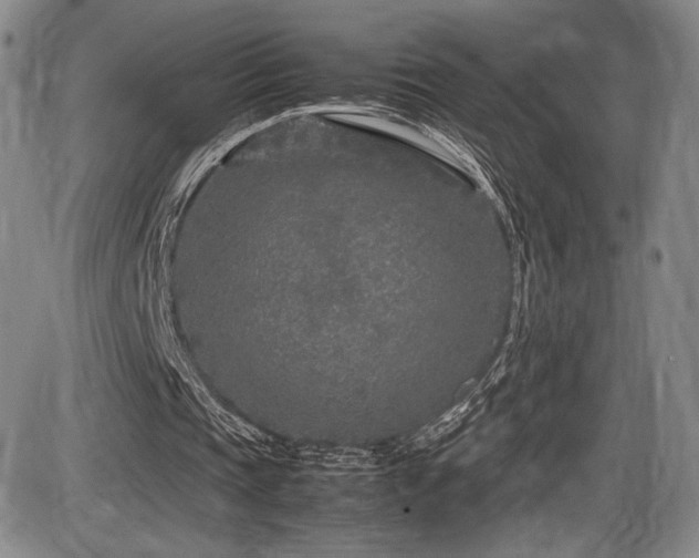 X0000086280337200703291507