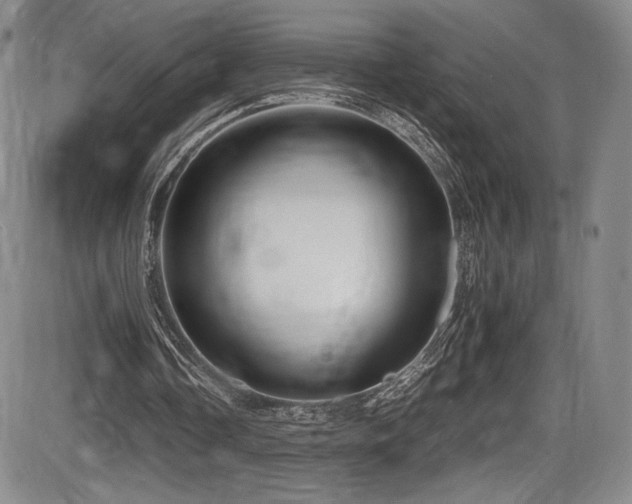 X0000086280338200703291507