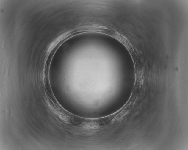 X0000086280340200703291507