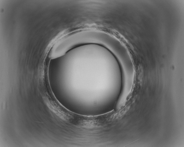 X0000086280344200703291507