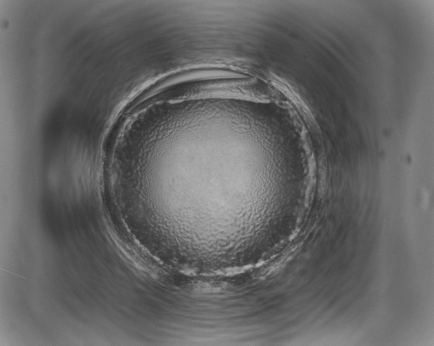 X0000086280346200703291507