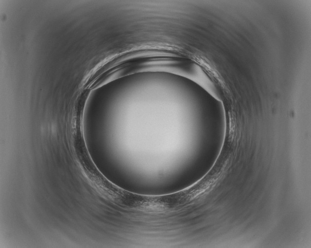 X0000086280348200703291507