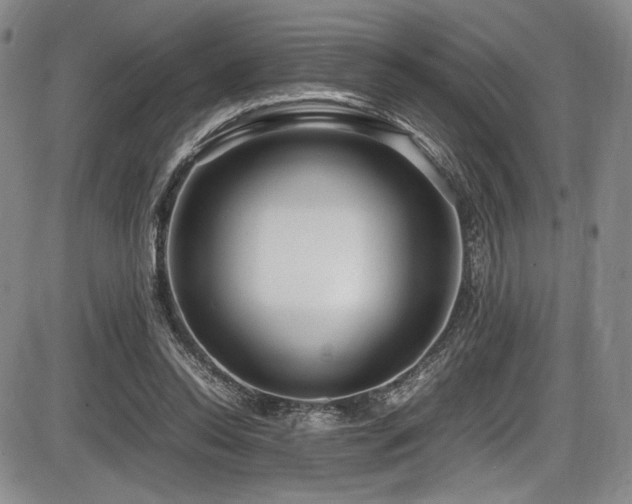 X0000086280350200703291507