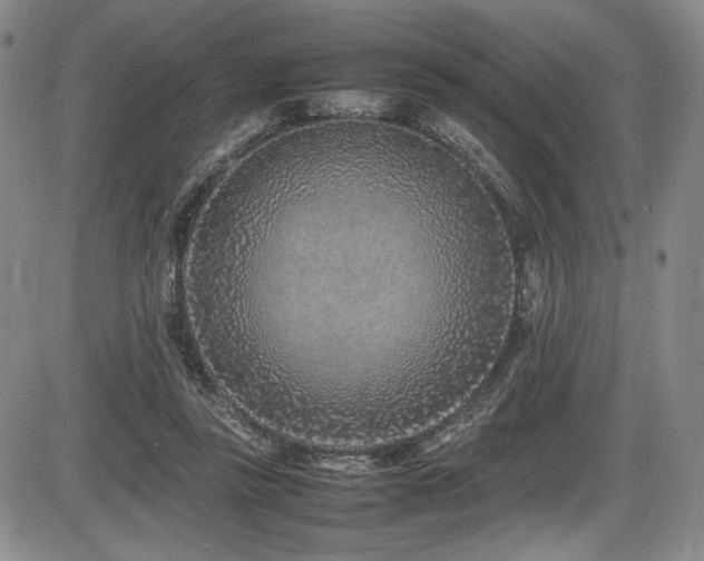 X0000086280355200703291507