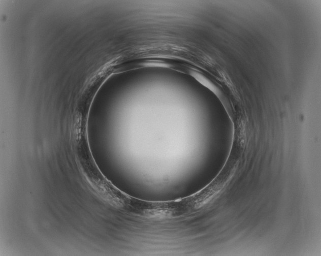 X0000086280356200703291507