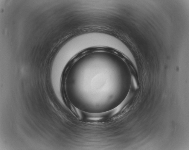 X0000086280360200703291507