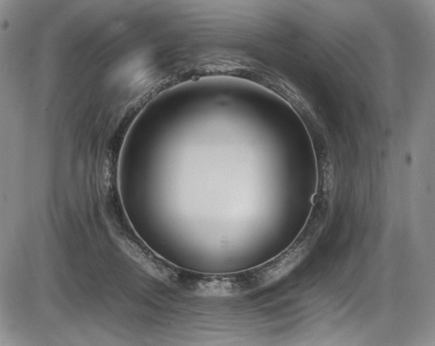 X0000086280362200703291507