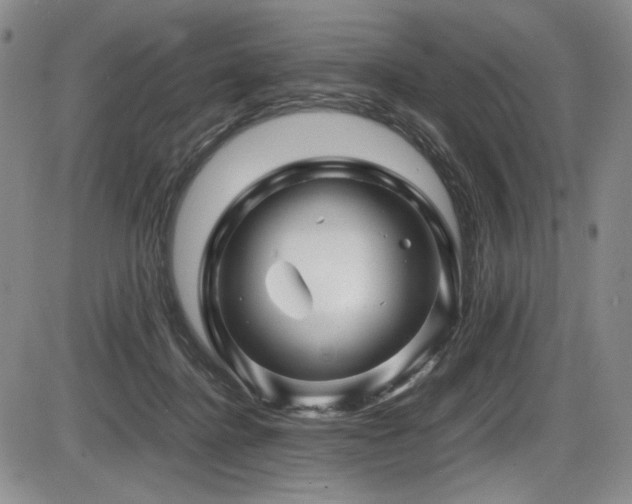 X0000086280364200703291507