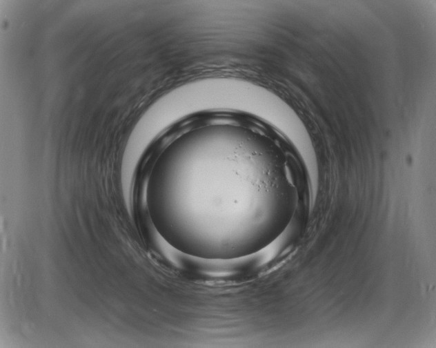 X0000086280372200703291507