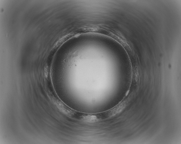 X0000086280374200703291507