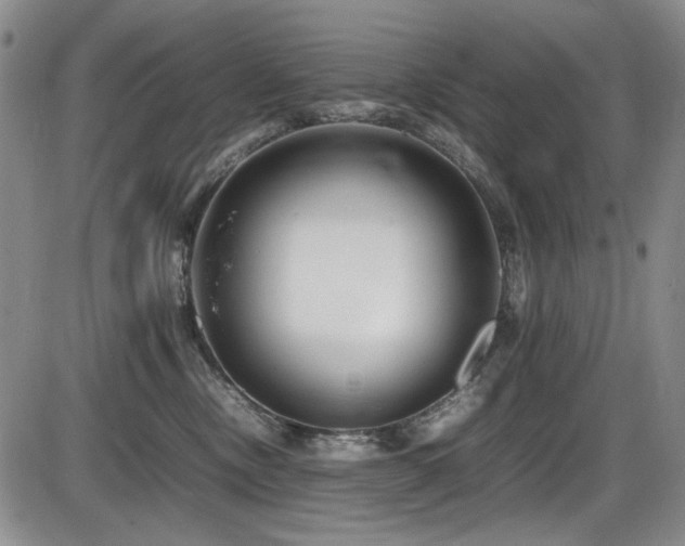 X0000086280378200703291507