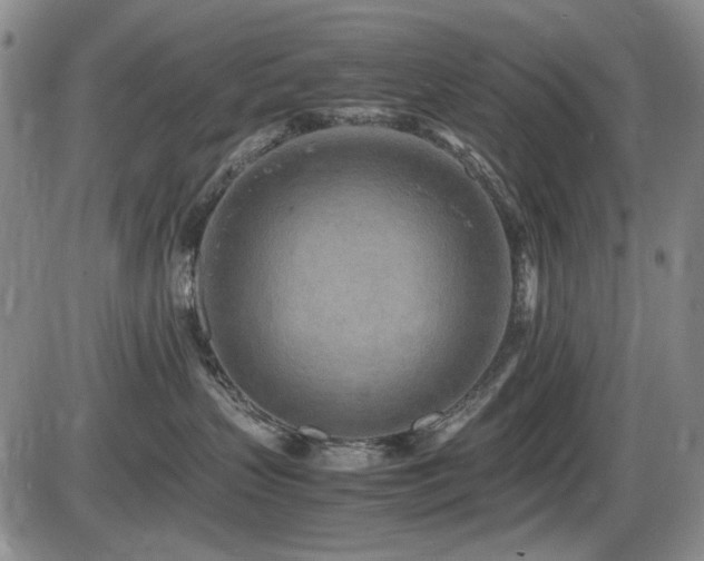 X0000086280383200703291507