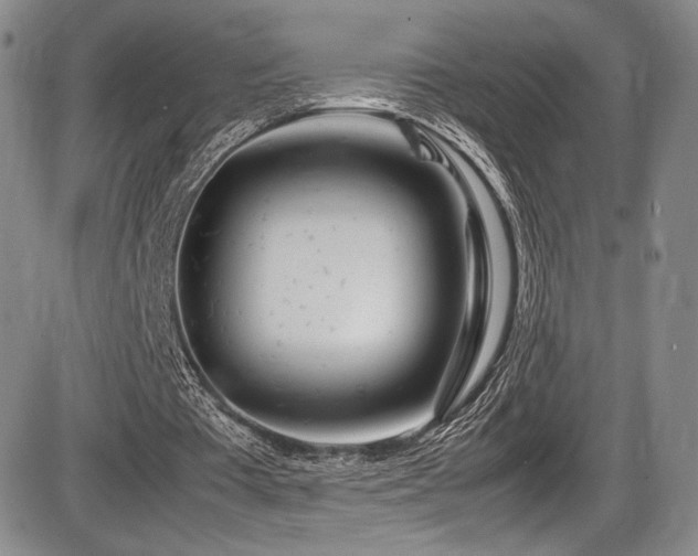 X0000086280385200703291507