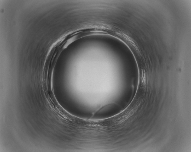 X0000086280388200703291507