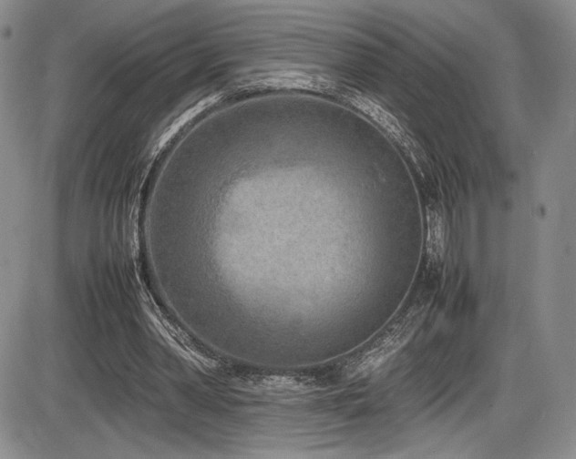 X0000086280390200703291506