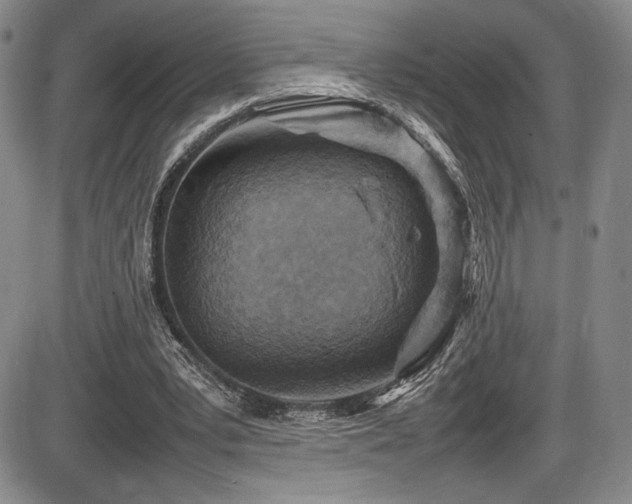 X0000086280391200703291506