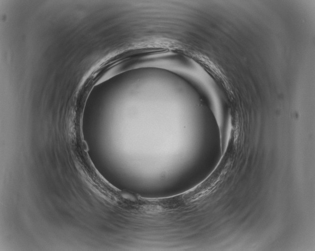 X0000086280392200703291506