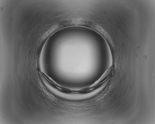 X0000086280393200703291506