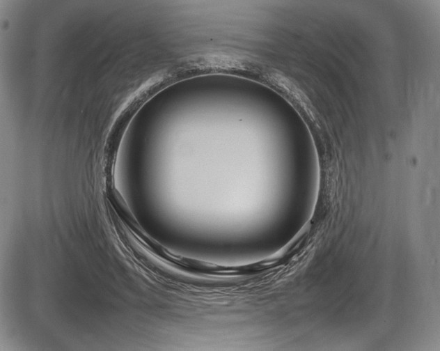 X0000086280395200703291506