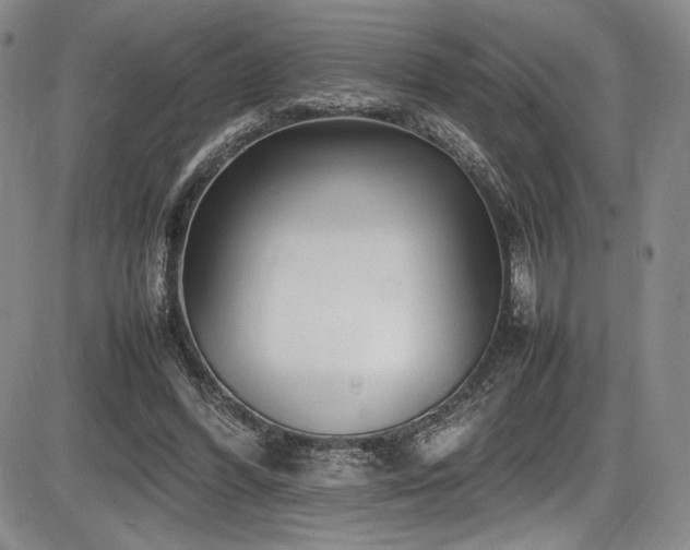 X0000086280396200703291506