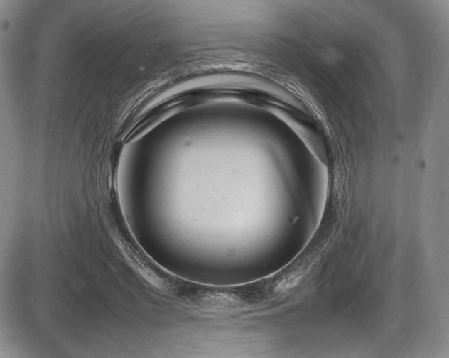 X0000086280397200703291506