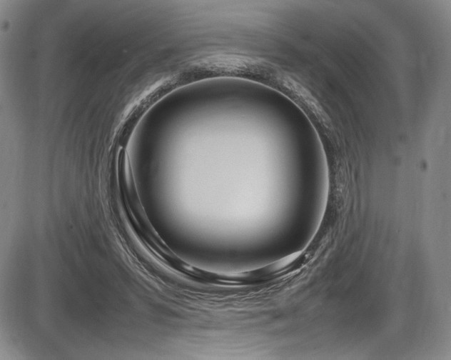 X0000086280399200703291506