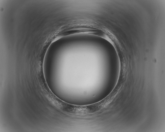 X0000086280401200703291506