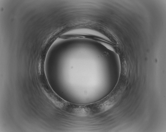 X0000086280404200703291506