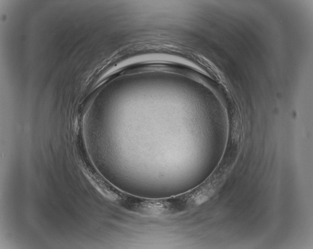 X0000086280405200703291506