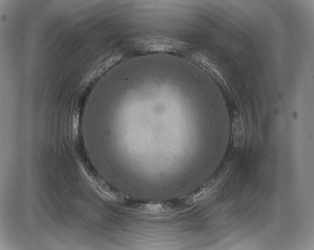 X0000086280406200703291506