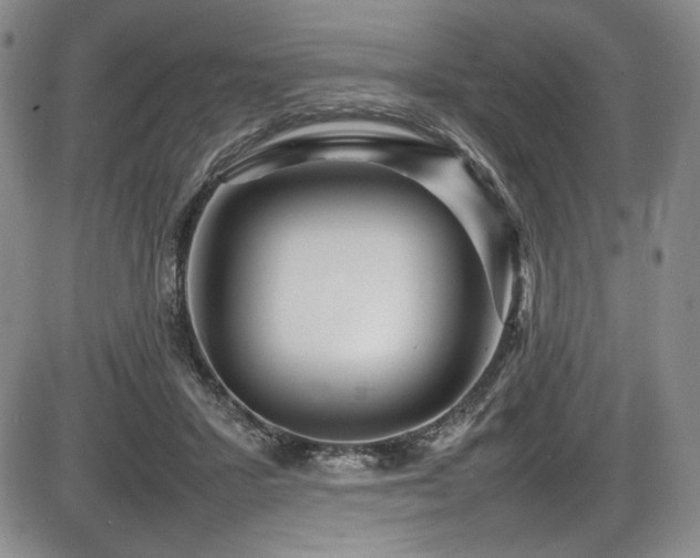 X0000086280407200703291506