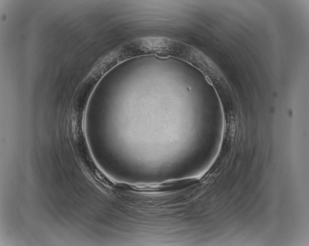 X0000086280408200703291506
