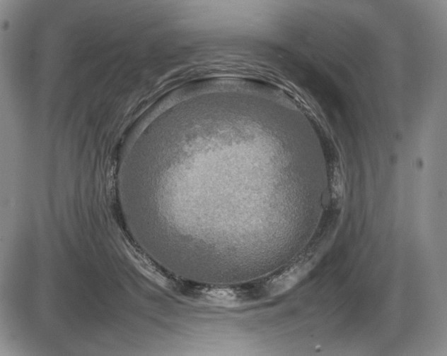 X0000086280409200703291506