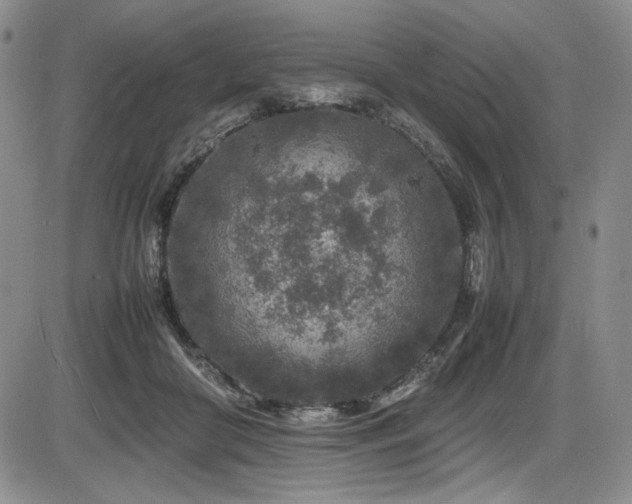 X0000086280410200703291506