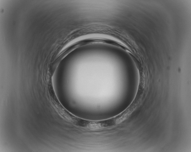 X0000086280413200703291506
